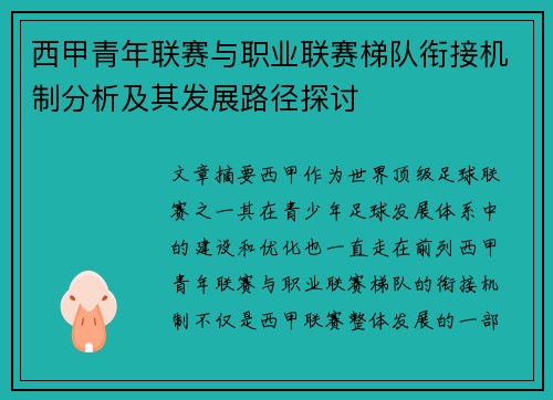 西甲青年联赛与职业联赛梯队衔接机制分析及其发展路径探讨